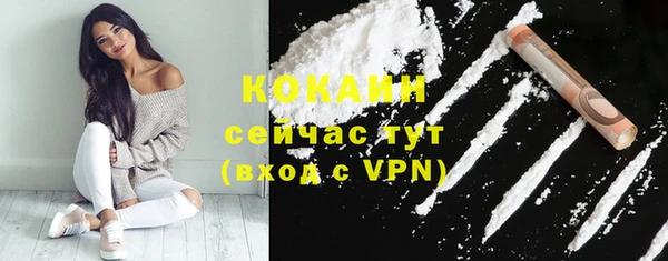 индика Армянск