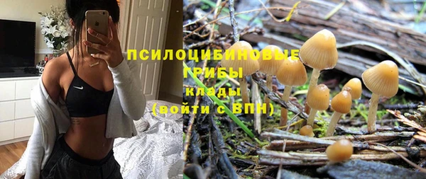 индика Армянск