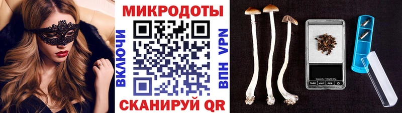 Галлюциногенные грибы Cubensis  Балахна 